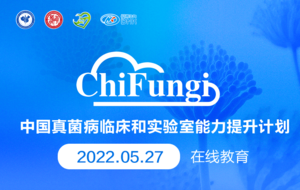  第24期：MDT 大查房
